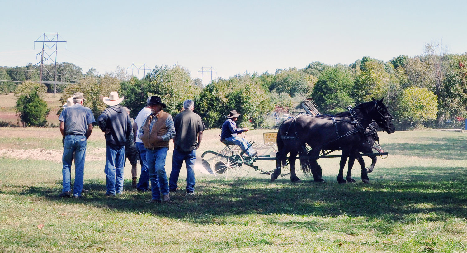 A demonstration of a horse-drawn plow draws several men closer to watch the action.
