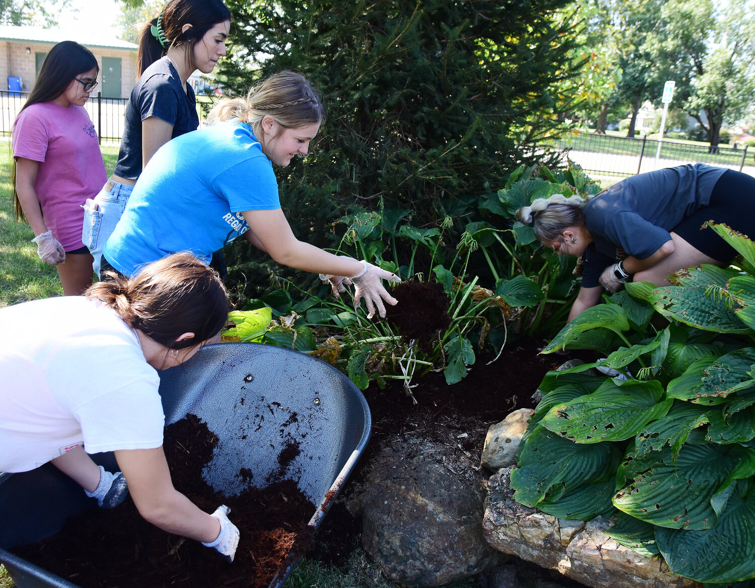 Owensville High School FCCLA chapter members (from left) Arianna Baguio, Bede Balbontin, Carly Copeland, Parker Johnson and Jenna Hoffman place mulch around hostas at the Veterans Memorial Park in Owensville during a Sept. 14 community service project.